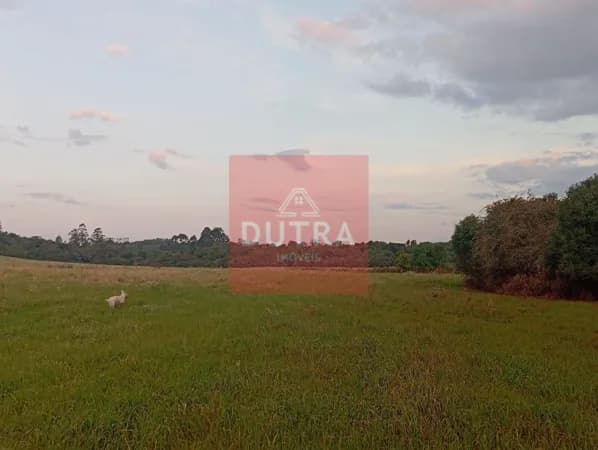 Fazenda/Sítios/Chácaras em Entre-Ijuís - ESQUINA GAUCHA