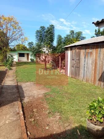 Casa em Santo Ângelo - Pippi