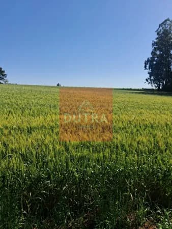 Fazenda/Sítios/Chácaras em Vitória das Missões - Esquina Redin