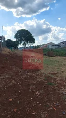 Lote/Terreno em Santo Ângelo - Aliança