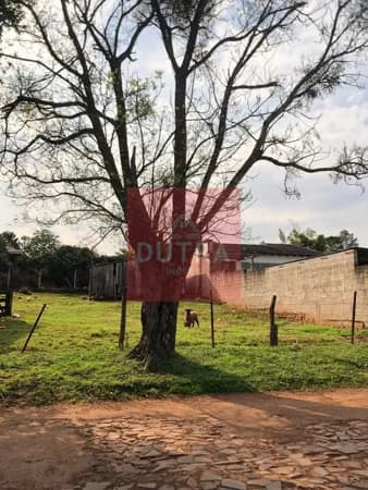 Terreno em Colmeia, Santo Ângelo/RS