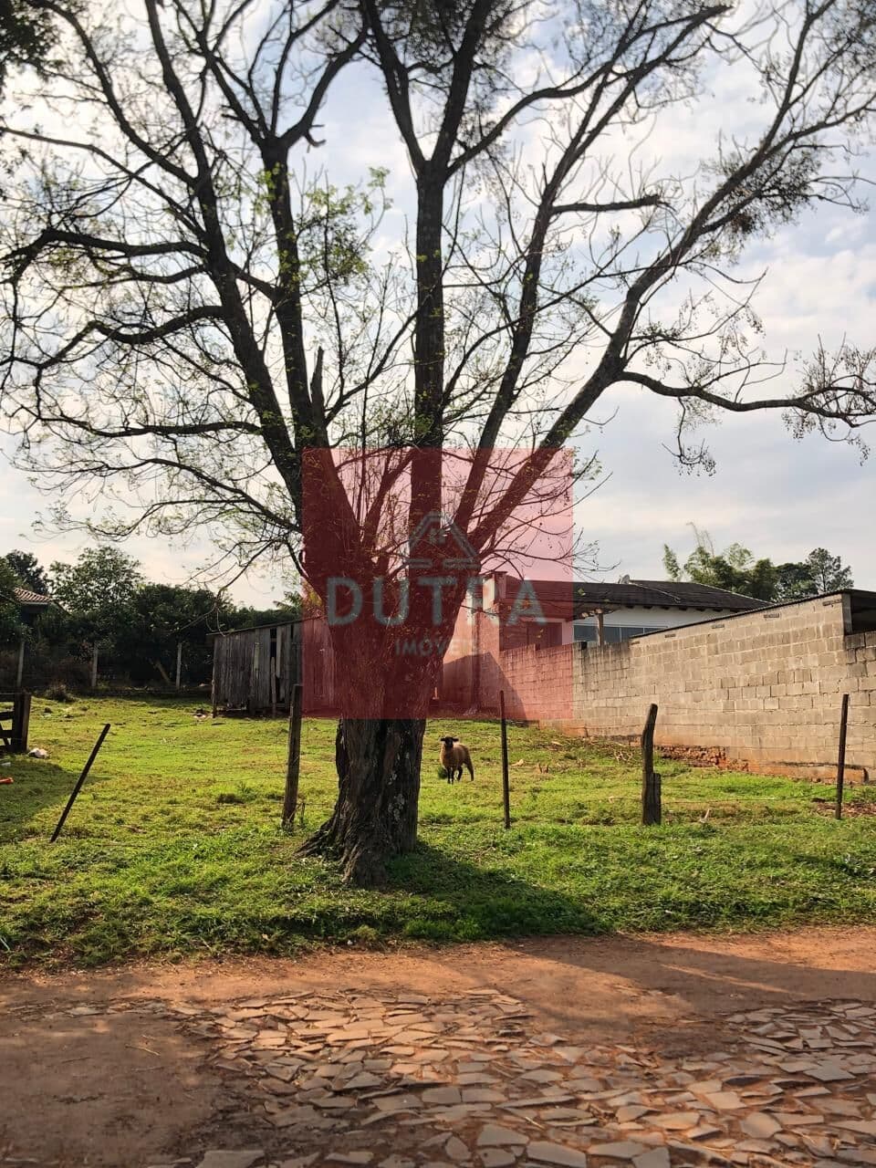 Terreno em Colmeia, Santo Ângelo/RS
