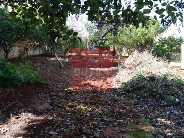 Lote/Terreno em Santo Ângelo - Dytz