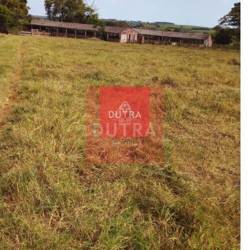 Fazenda/Sítios/Chácaras em Santo Ângelo - restinga seca