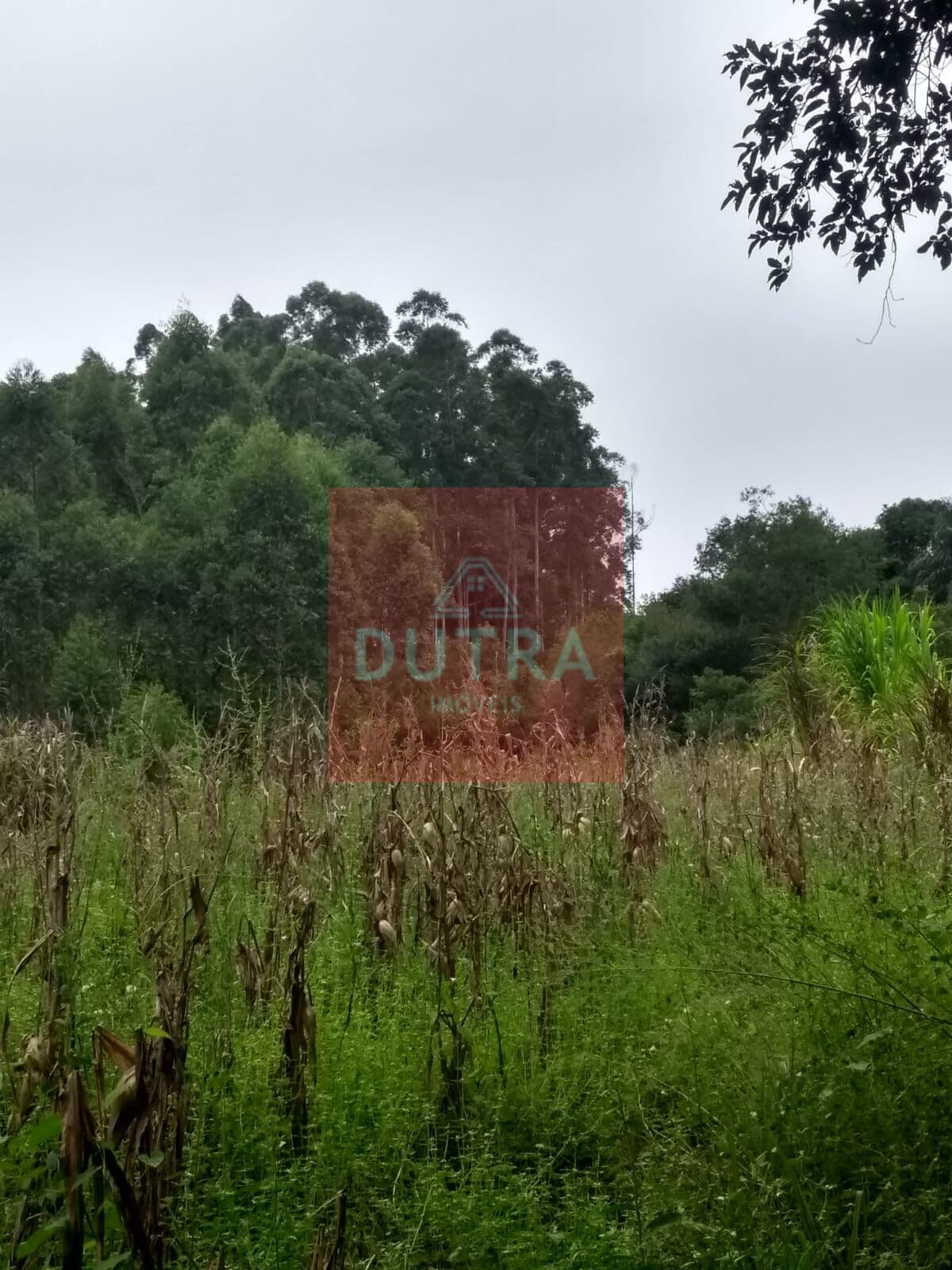 Chácara em BURITI, Santo Ângelo/RS