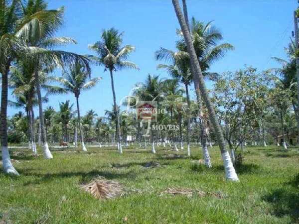 VENDO TERRENO EM PORTO DE GALINHAS 450M2