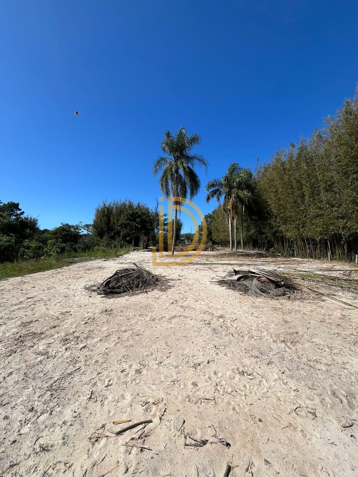 Lote/Terreno em Laguna - Estreito