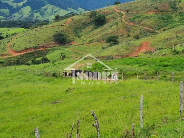 Fazenda/Sítios/Chácaras em Santa Rita do Sapucaí - Roseira