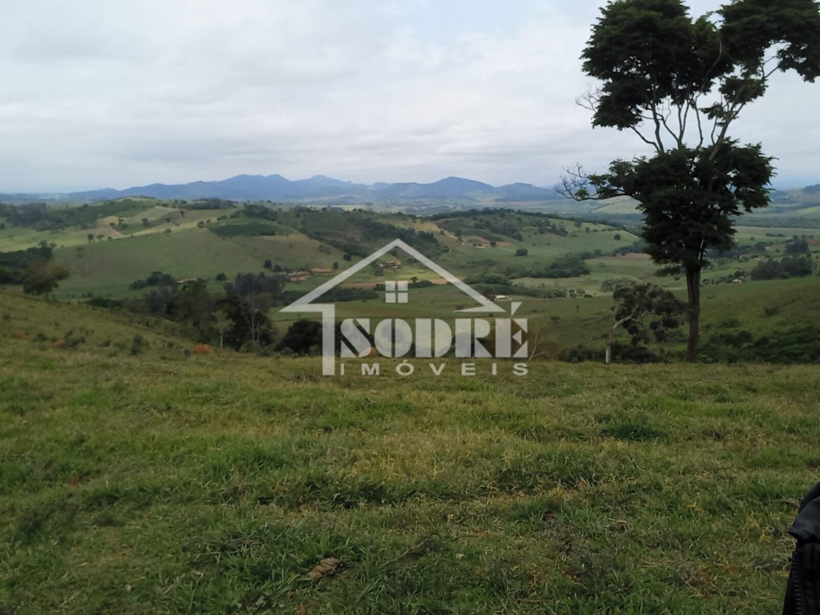 Fazenda/Sítios/Chácaras em Santa Rita do Sapucaí - Balaio