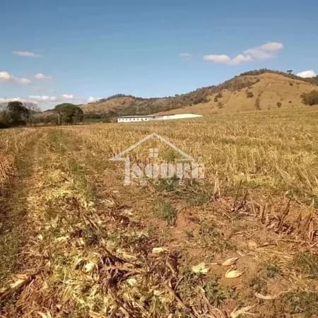 Fazenda/Sítios/Chácaras em Santa Rita do Sapucaí - BR 459