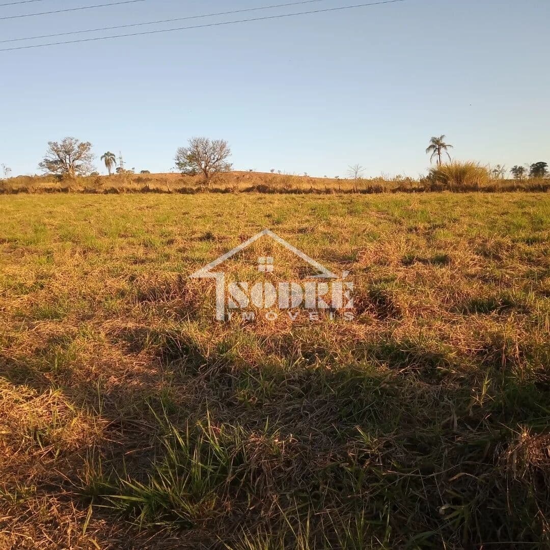 Fazenda/Sítios/Chácaras em Santa Rita do Sapucaí - BR 459