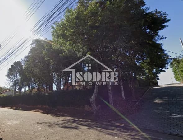 Fazenda/Sítios/Chácaras em Santa Rita do Sapucaí - Novo Horizonte
