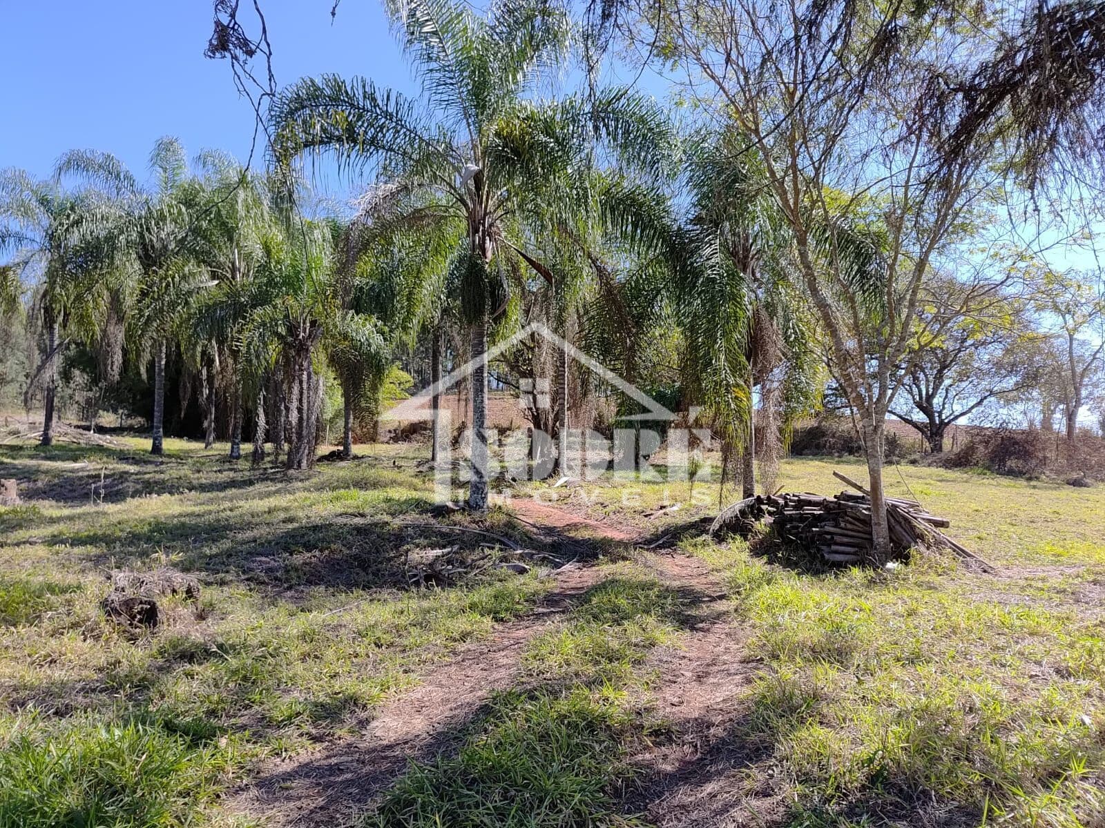 Fazenda/Sítios/Chácaras em Santa Rita do Sapucaí - Córrego Raso