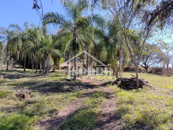 Fazenda/Sítios/Chácaras em Santa Rita do Sapucaí - Córrego Raso