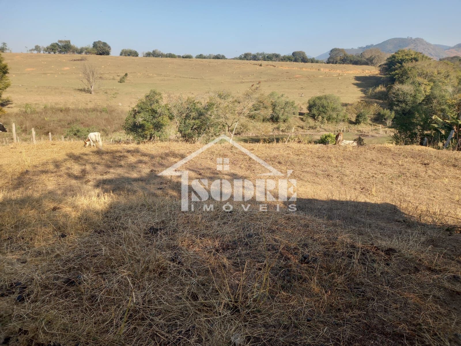 Fazenda/Sítios/Chácaras em Santa Rita do Sapucaí - Estrada do Vintém
