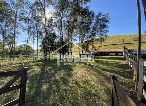 Fazenda/Sítios/Chácaras em São José do Alegre - Rural