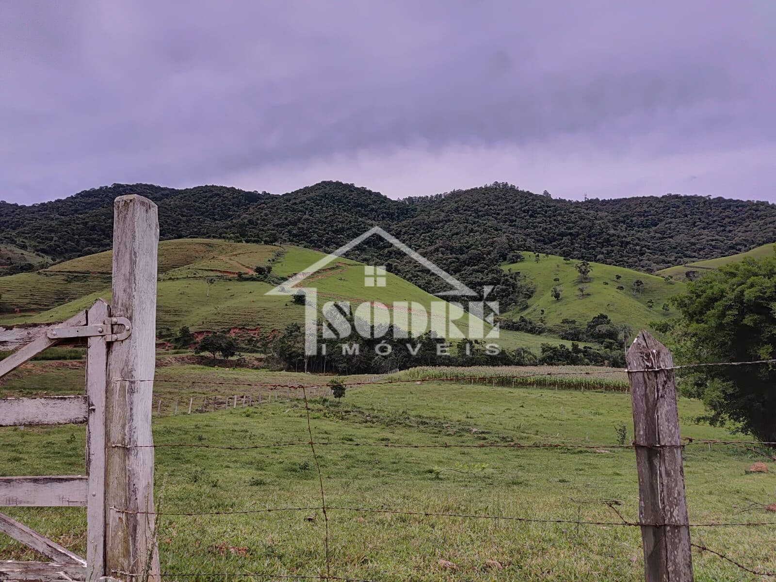 Fazenda/Sítios/Chácaras em Santa Rita do Sapucaí - Piedade