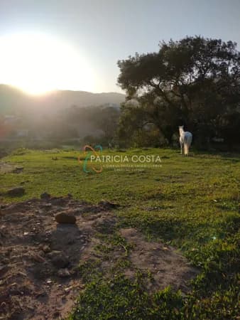 Grande Oportunidade:Terrenão 3.000m² no Ambrósio – Garopaba