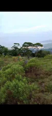 Terreno com Vista Panorâmica no bairro Macacu-Garopaba/SC