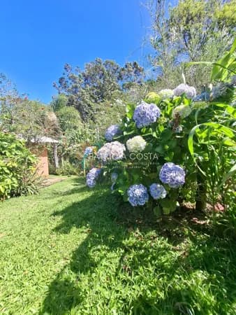 Terreno em Praia do Silveira, Garopaba/SC