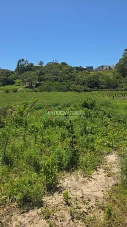 Terreno Plano de 2.009m² á Venda no bairro Ambrósio-Garopaba/SC