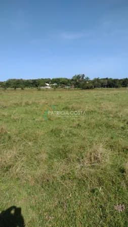 Terreno Perfeito de 6 Hectares no Campo Duna-Garopaba/SC
