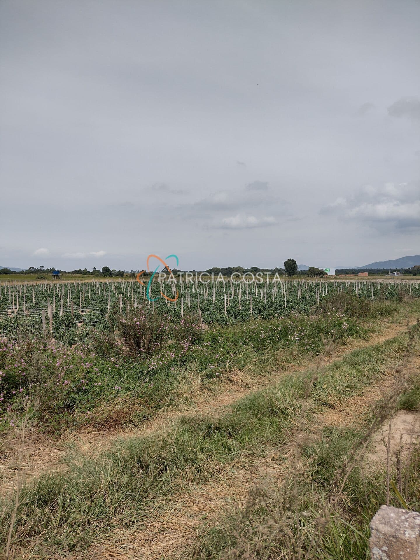 Maravilhoso Terreno de 7 Hectares no sambaqui-Imbituba/SC