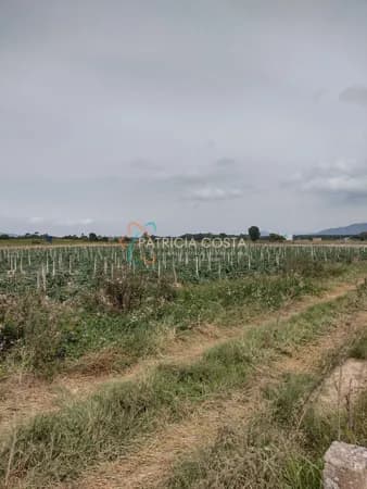 Maravilhoso Terreno de 7 Hectares no sambaqui-Imbituba/SC