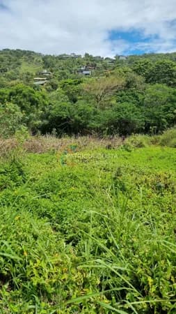 Terreno de Esquina com Escritura na Praia do Silveira — Garopaba/SC