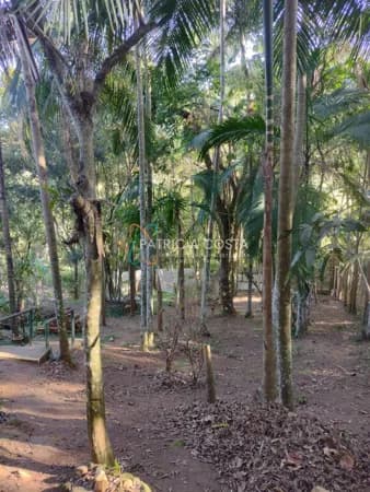 Oportunidade! Terreno com 650m² no bairro Siriú-Garopaba/SC