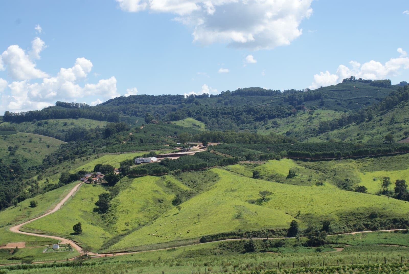 Fazenda de Café