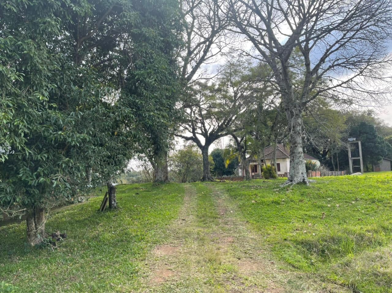 60 HECTARES EM TAQUARA/RS COM ÓTIMAS INSTALAÇÕES