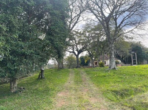 60 HECTARES EM TAQUARA/RS COM ÓTIMAS INSTALAÇÕES