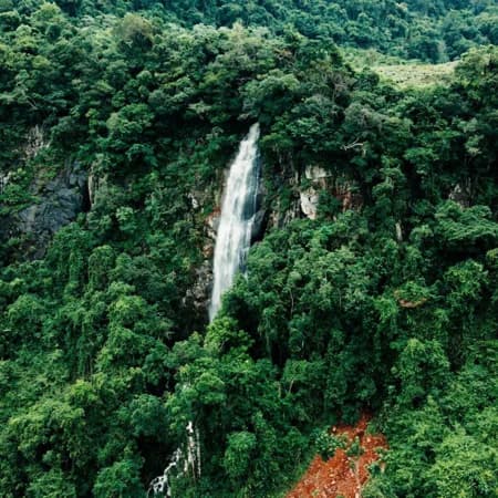 Fazenda/Sítios/Chácaras em Caxias do Sul - Forqueta