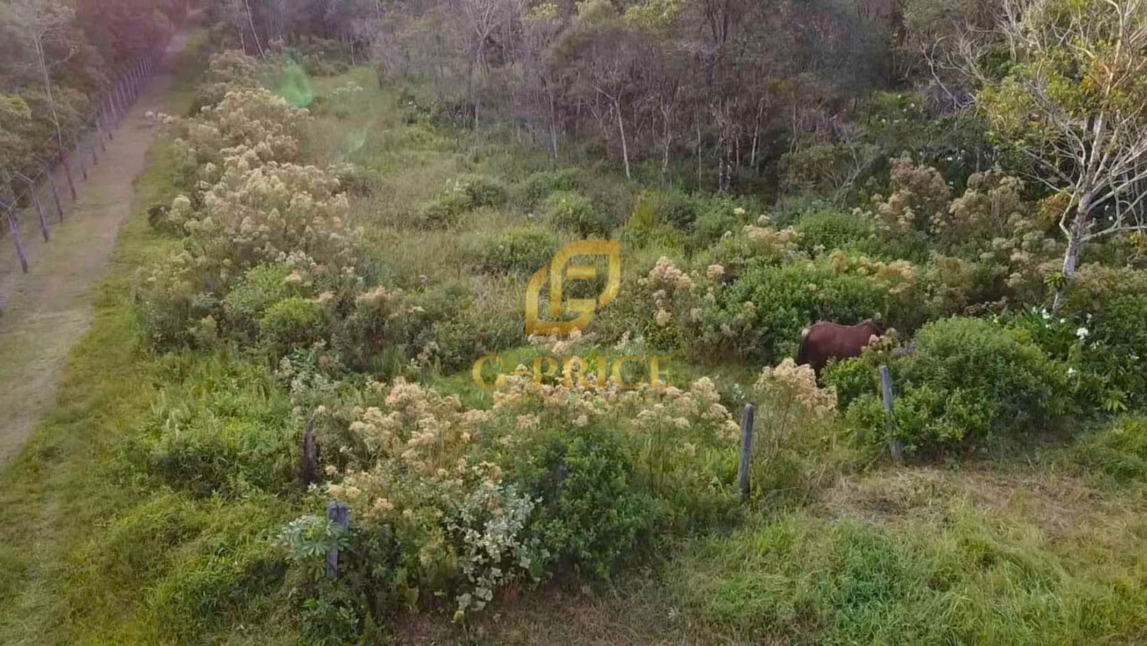 Ótimo Terreno Inteiro Sem árvores Apenas 800 mts do Mar ao Lado do Porto Coamo