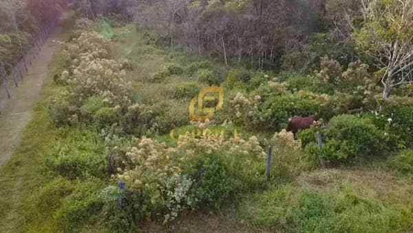Ótimo Terreno Inteiro Sem árvores Apenas 800 mts do Mar ao Lado do Porto Coamo