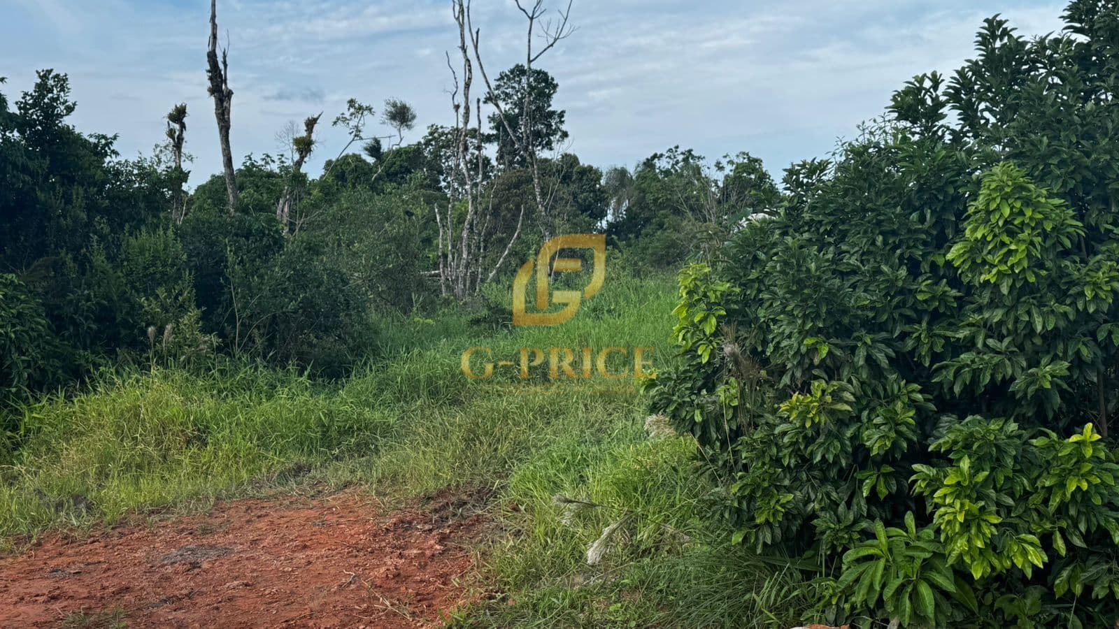Ótimo Terreno bem localizado apenas 700 mts da Praia