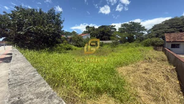 Oportunidade de Investimento 2 Terrenos Murados em Rua Pavimentada