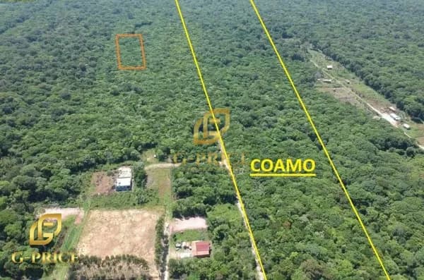 Ótima Oportunidade de Investimento! Terreno ao Lado da Coamo