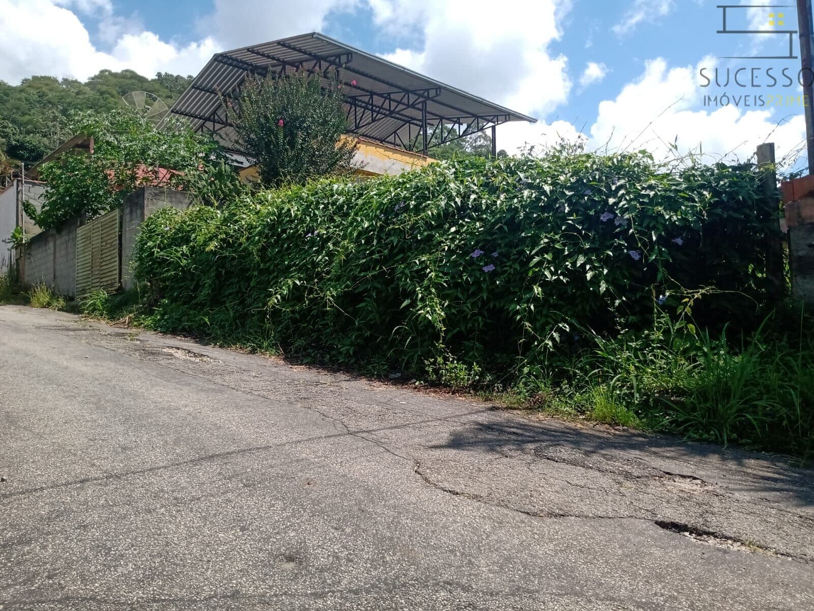 Terreno plano a venda em Nova Suíça