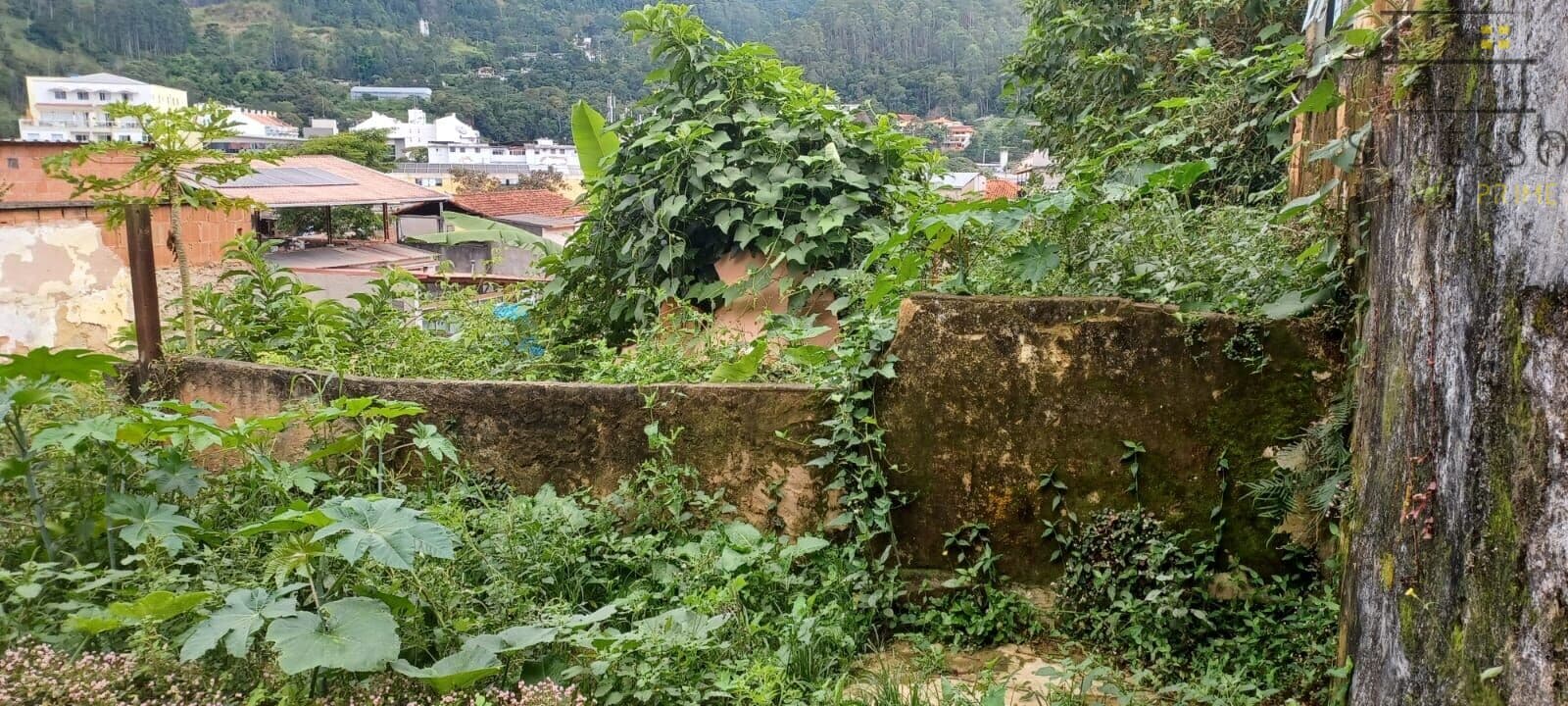 Terreno a venda em Olaria