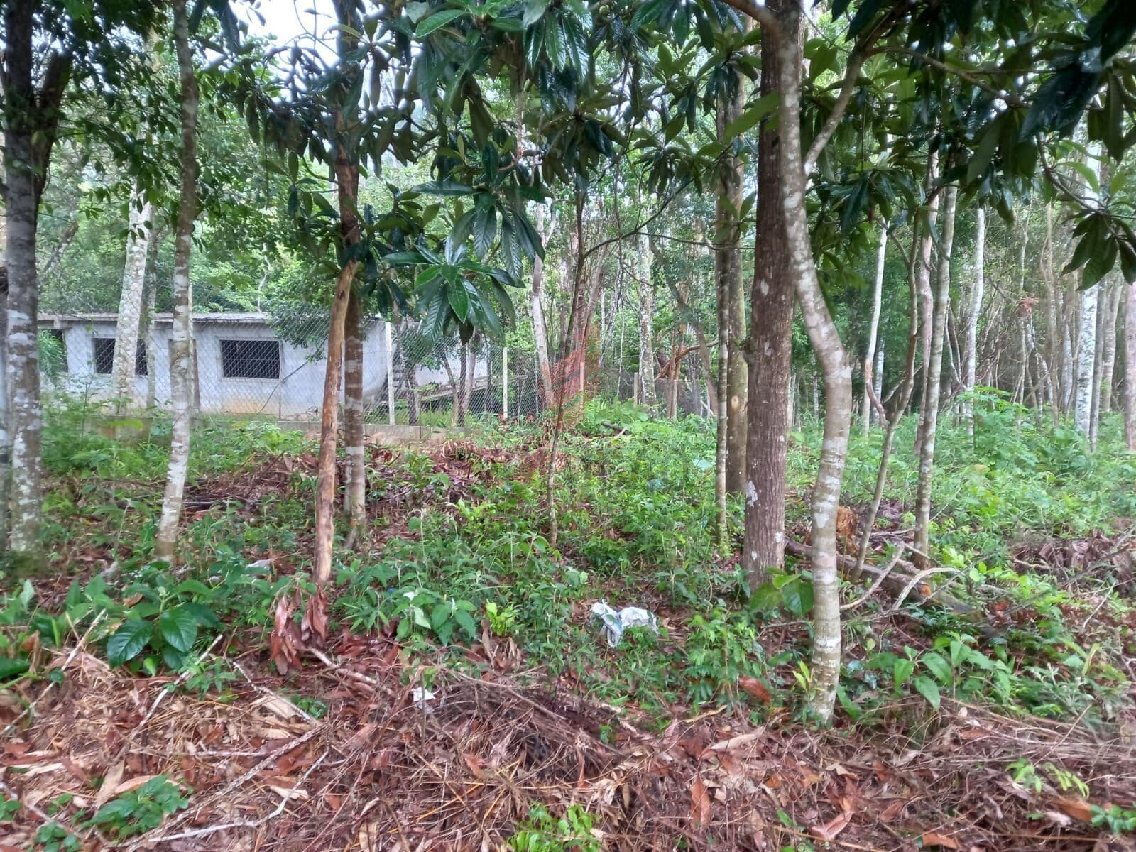 Terreno à venda na Cidade Ipava, São Paulo/SP