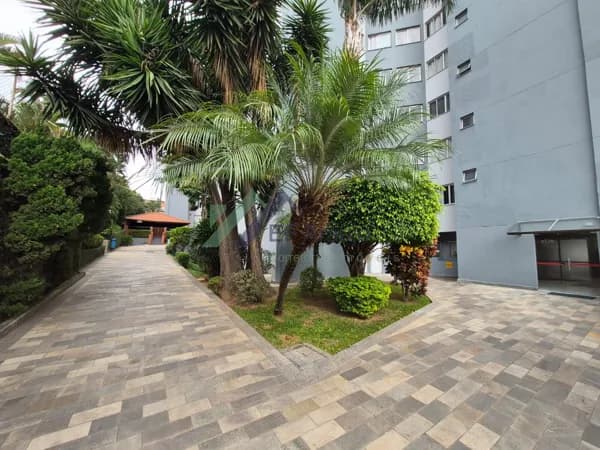 Apartamento em São Paulo - Jardim Maristela
