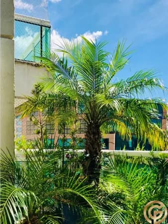Apartamento 340m² , Reformado, 3 suites, no Florida Penthouses - Estação Berrini