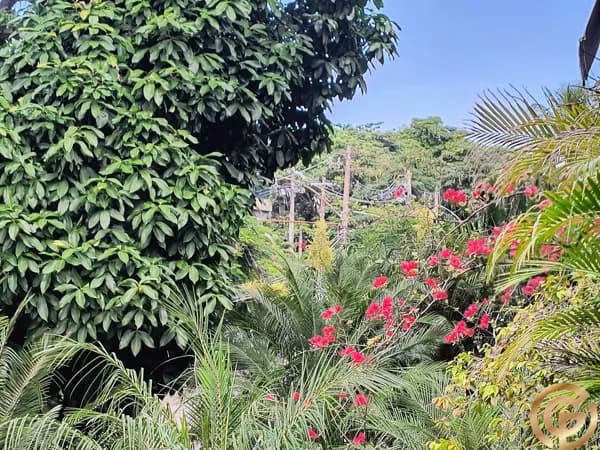 Apartamento Reformado 130m² no Jardim Oceânico – 3 Quartos, 2 Vagas, ao lado do Metrô