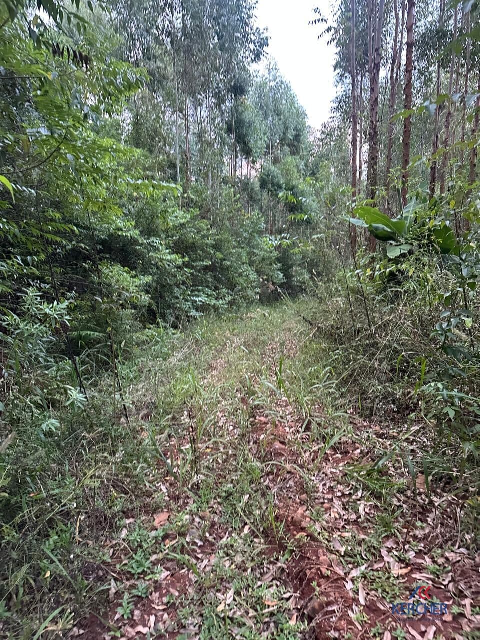 Área Rural em Morro Zimmer, Tupandi/RS