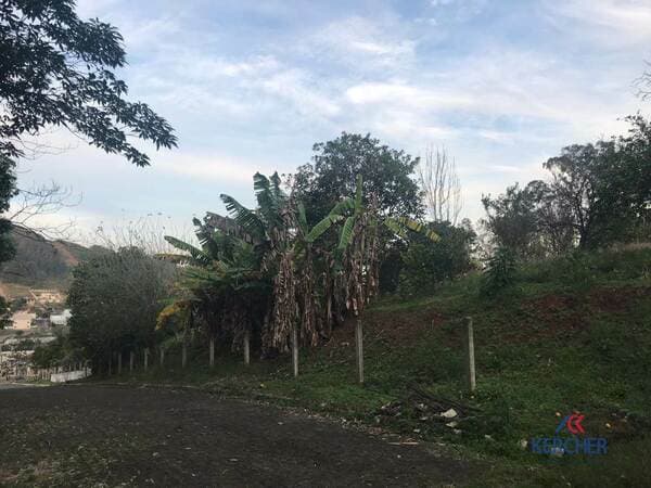 Lote/Terreno em Tupandi - Centro