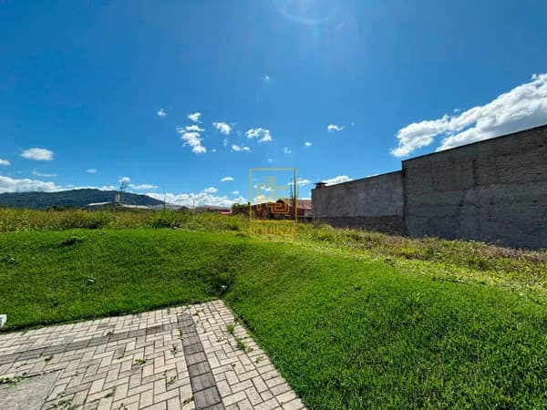 Terreno 442,81m² no Bairro Quintino