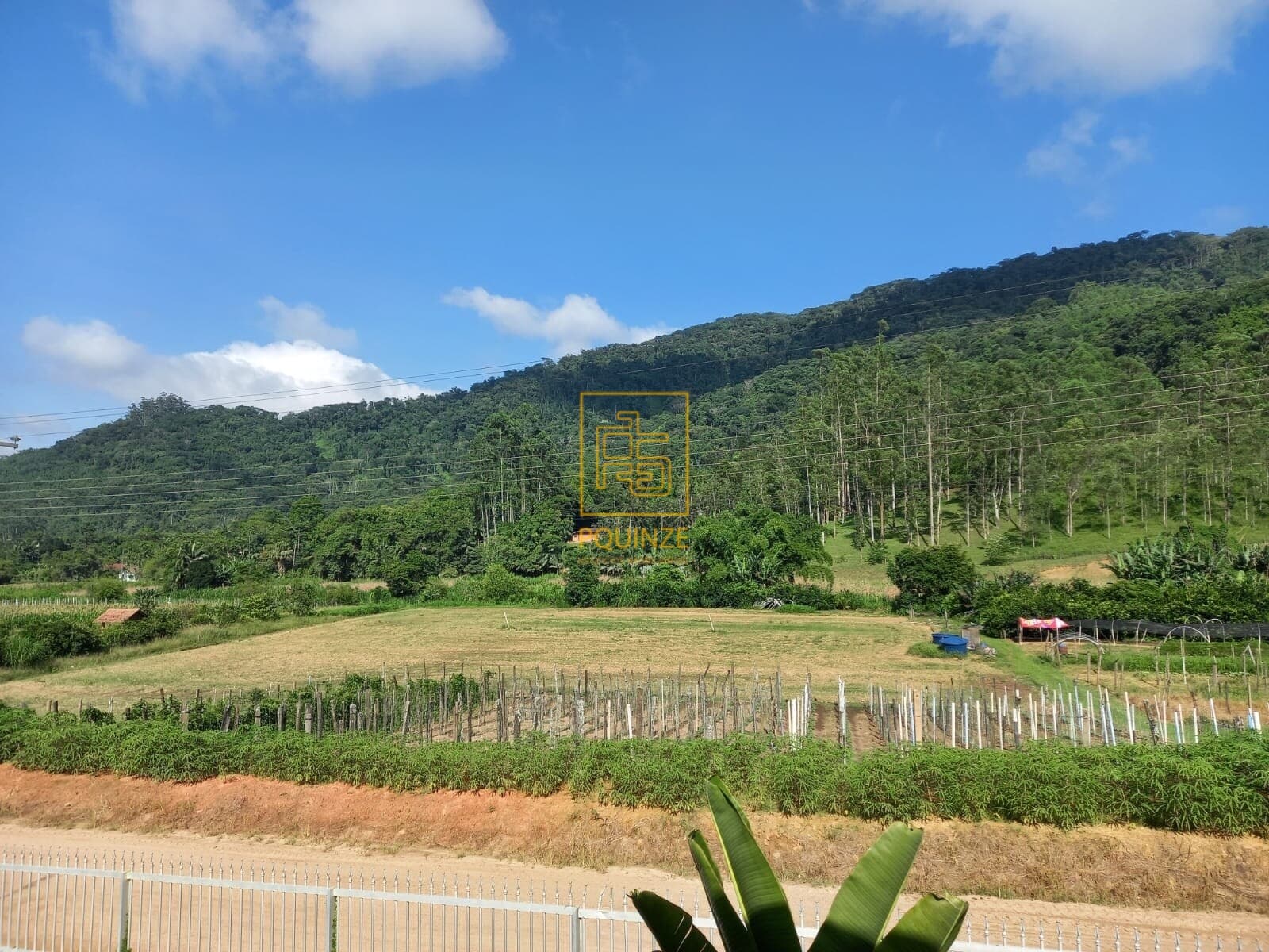 Terreno amplo para investimento