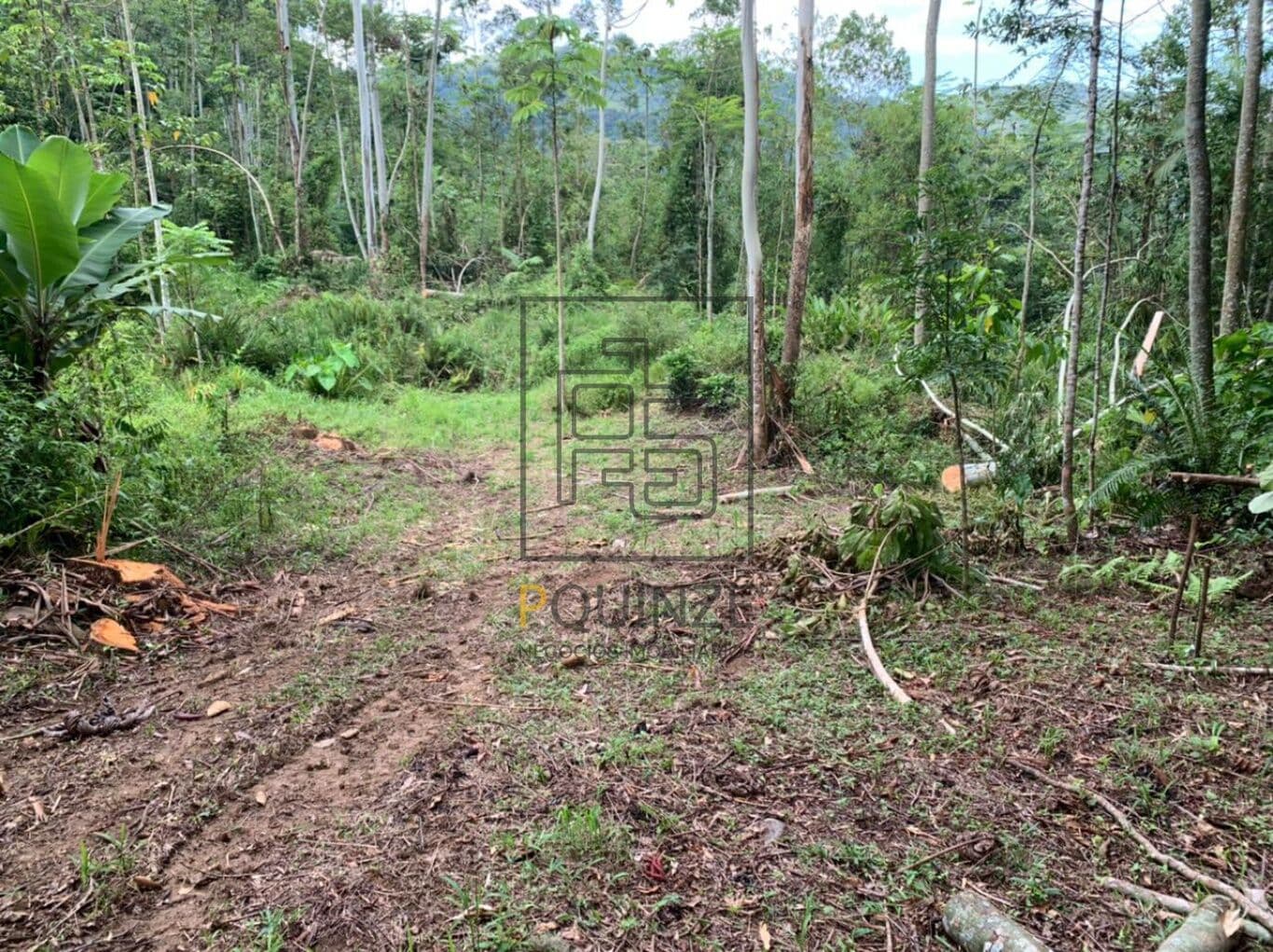 TERRENO NO ALTO SÃO BERNARDO EM RIO DOS CEDROS 126MIL M²